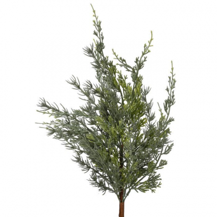 Weeping Cypress Spray 24"