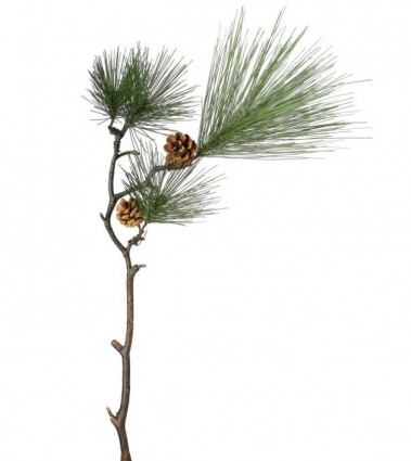 Ming Pine Spray with Pine Cones