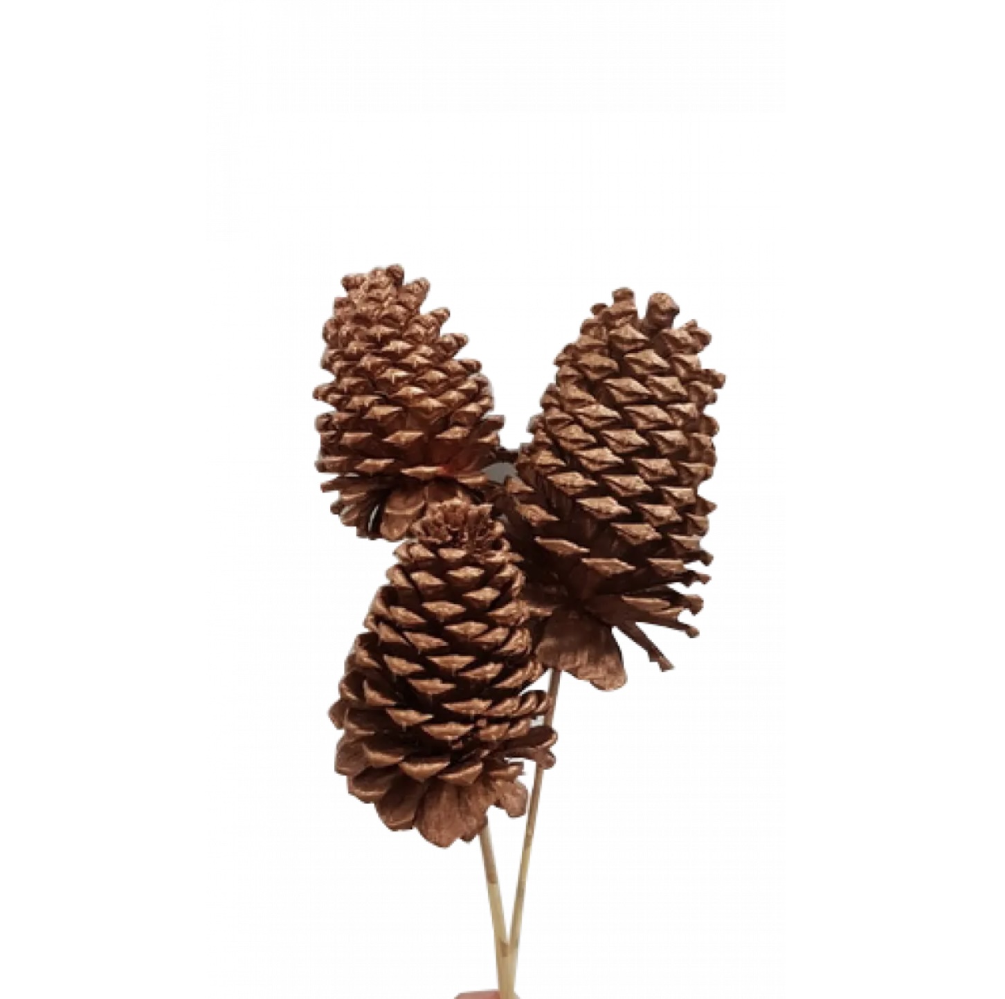 Copper Metallic Extra Large Copper Jeffrey Pine Cones