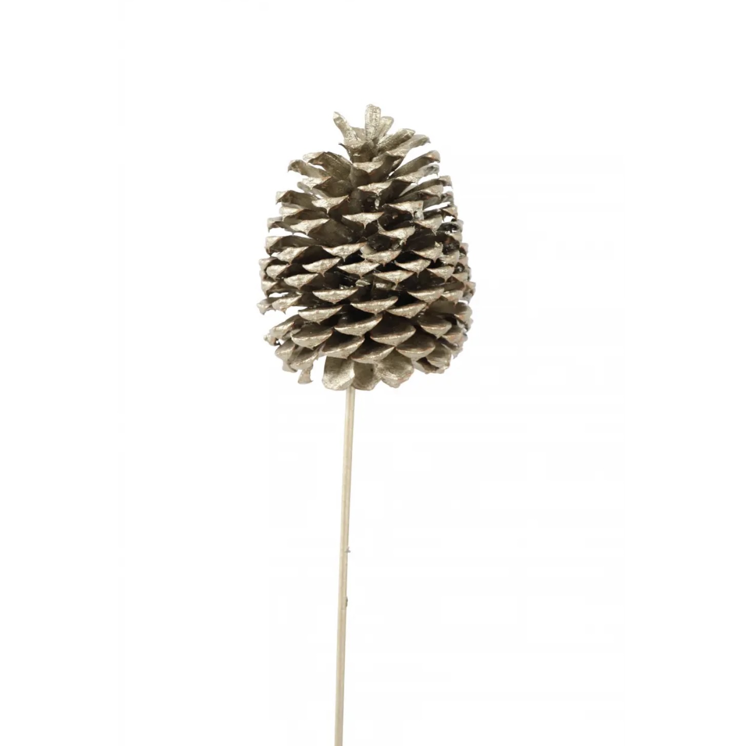 Champagne Metallic Jumbo Jeffrey Pine Cones