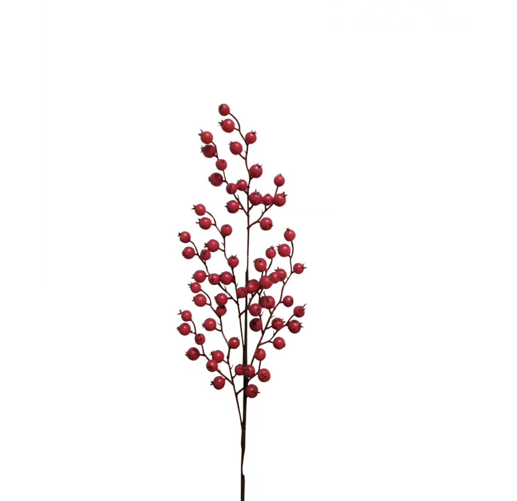 Red Berry Pick Branch