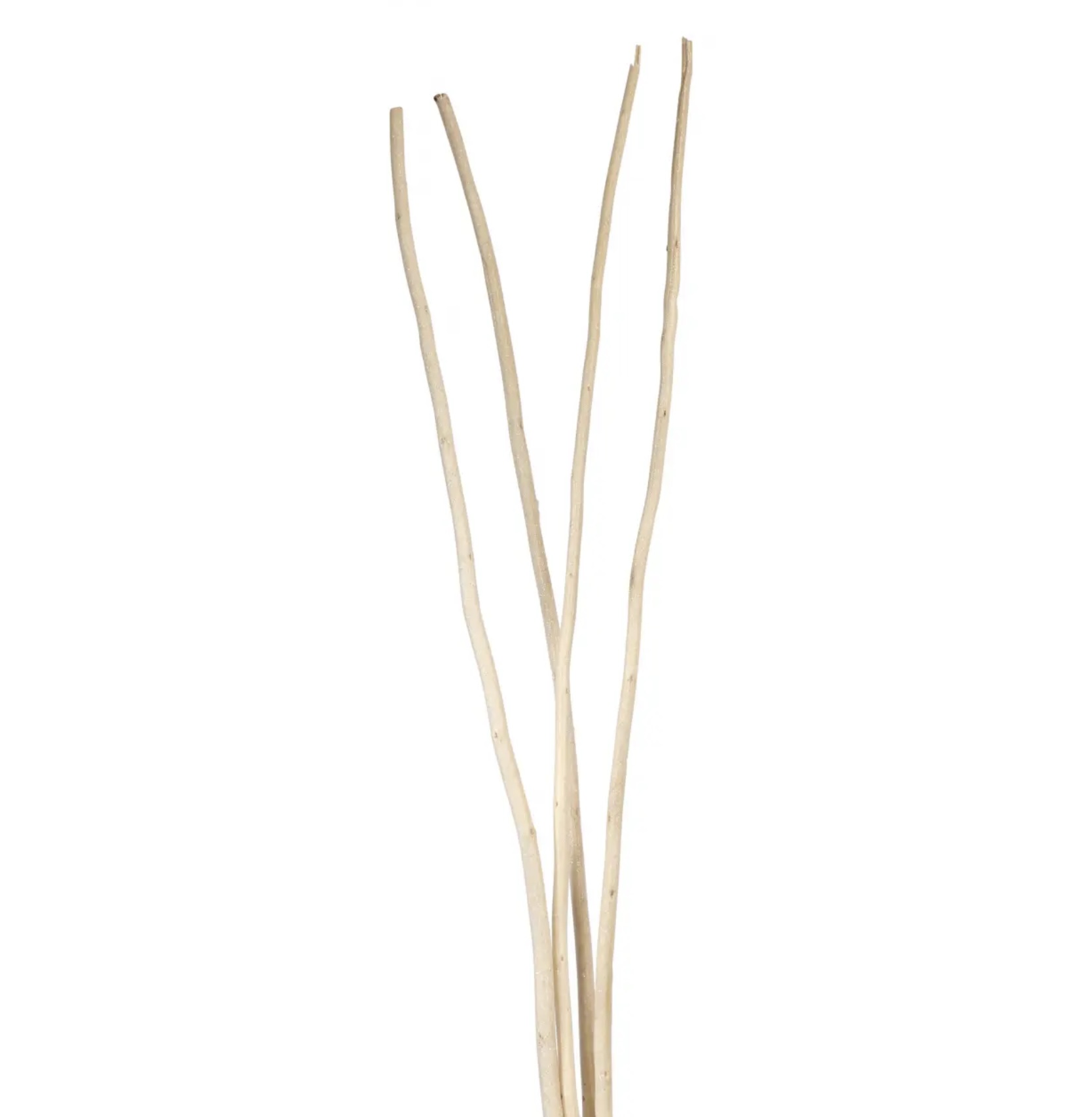 First Frost Mitsumata