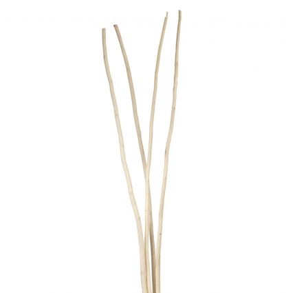 First Frost Mitsumata