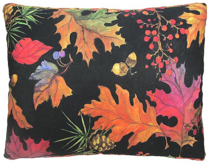 Fall Festival Pillow
