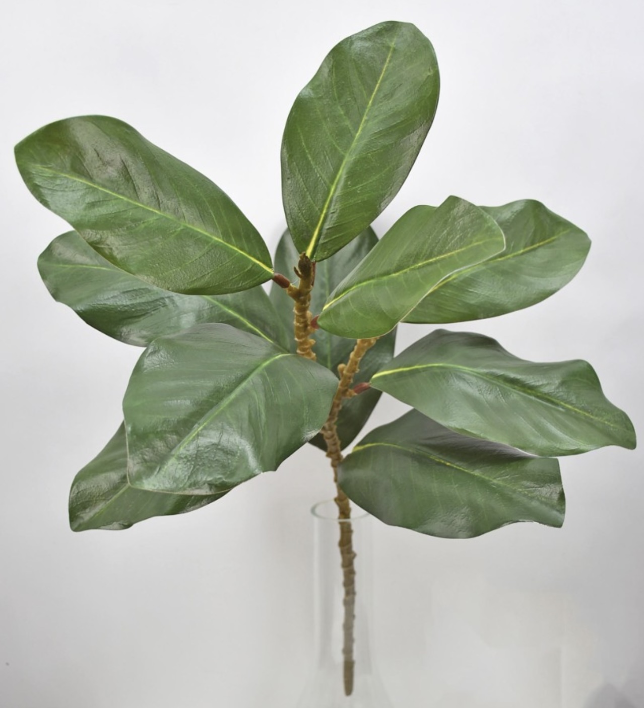 Green Magnolia Spray - 22.5"