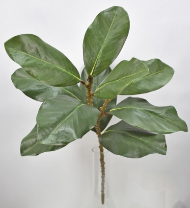 Green Magnolia Spray - 22.5"