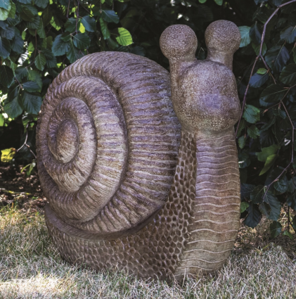 Garden Snail