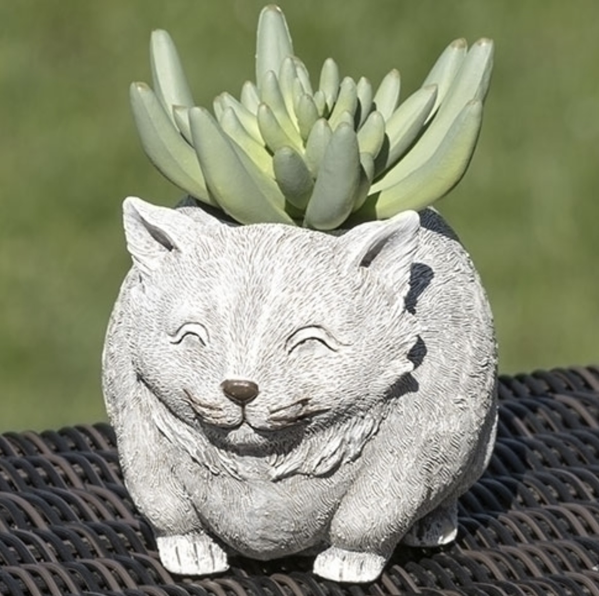 Mini Cat Planter