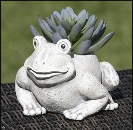 Mini Frog Pudgy Planter