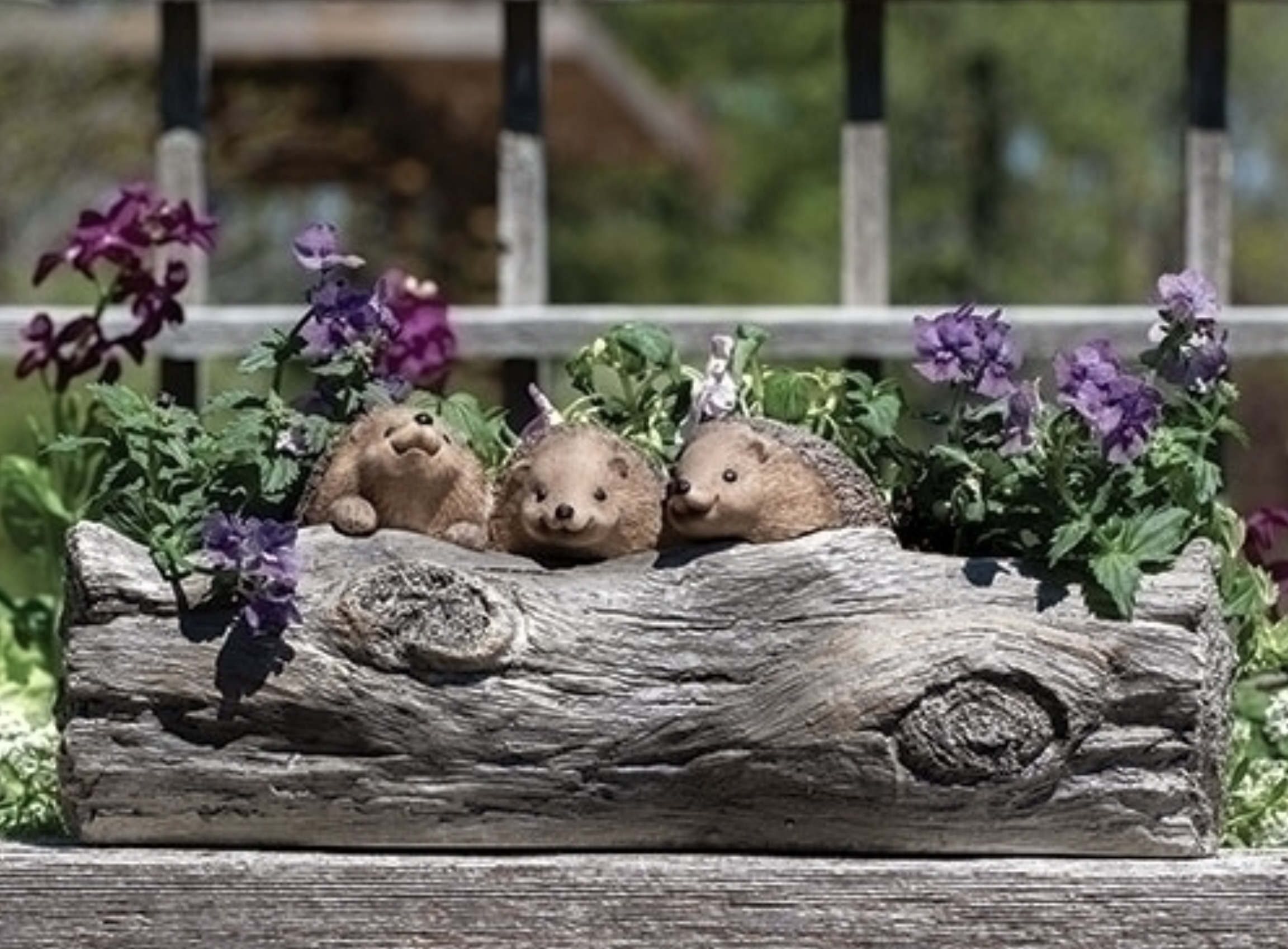 Hedgehog Planter