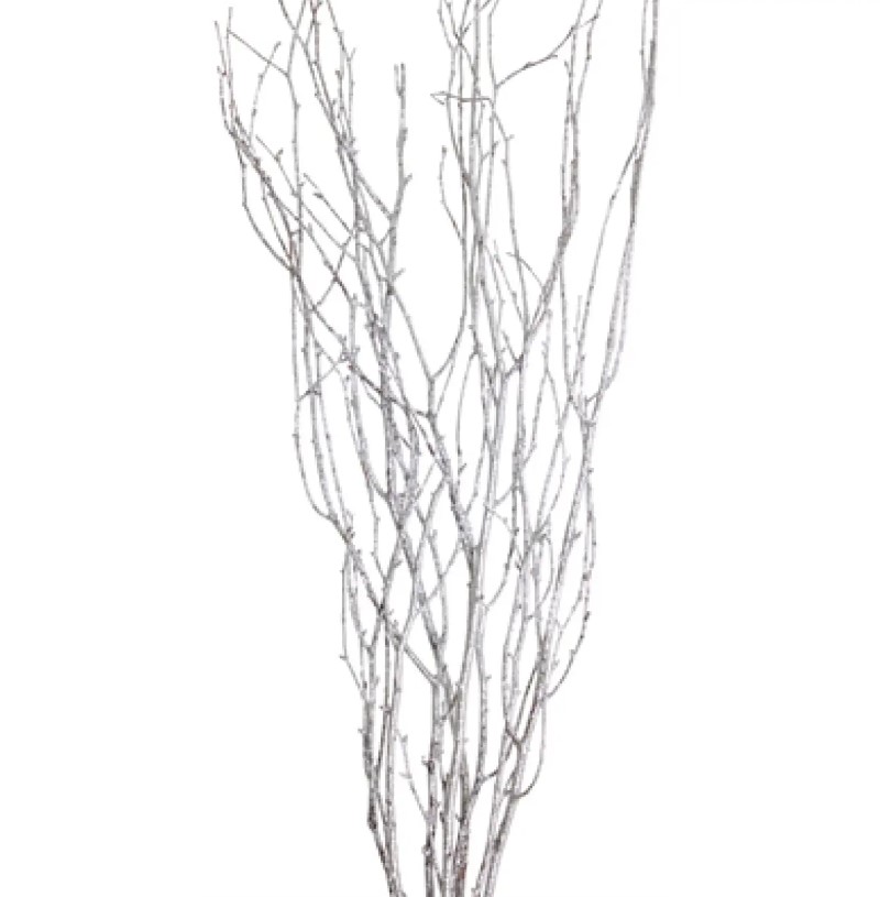 Metallic Silver Jay Branches