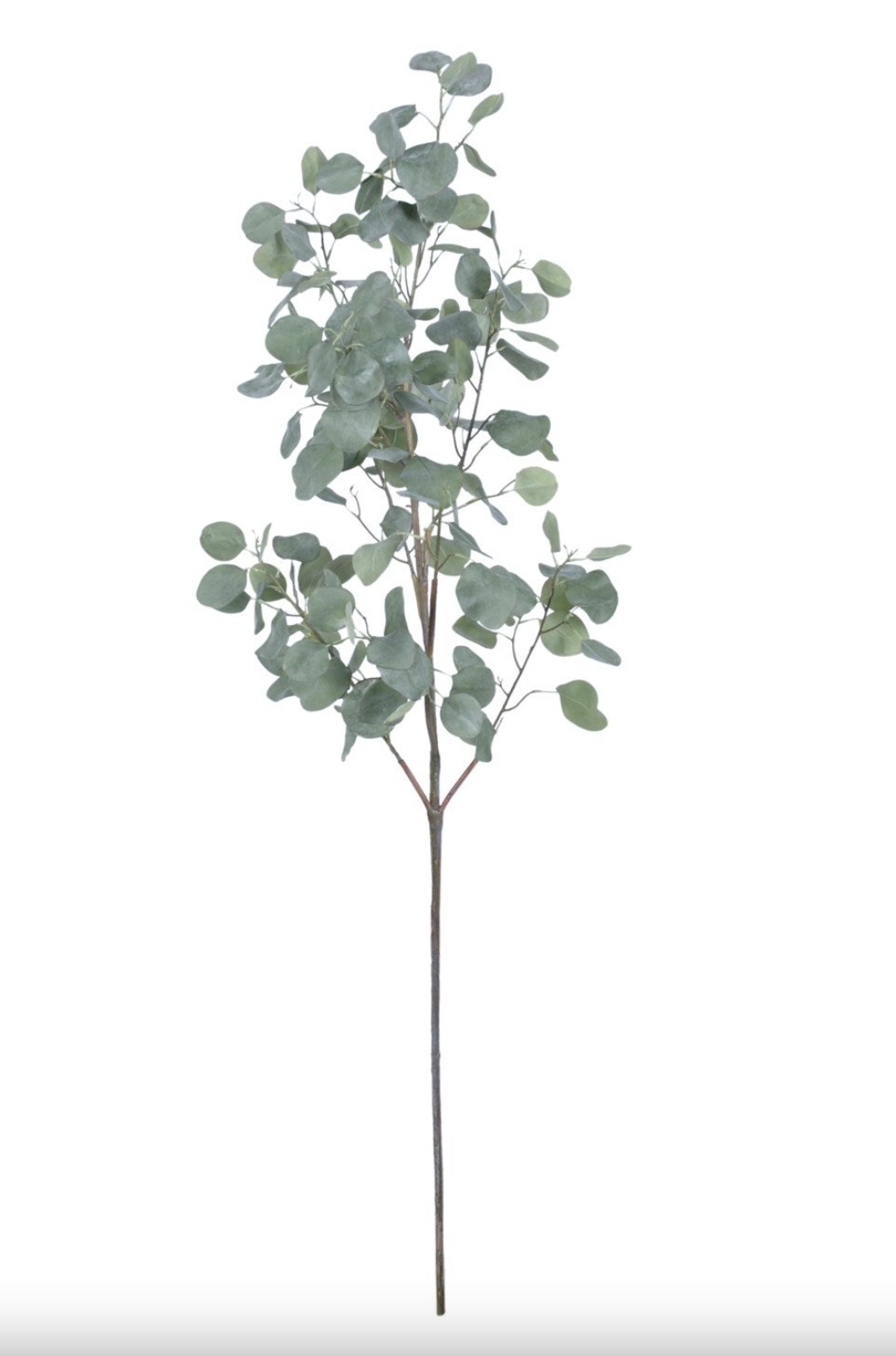 77" Eucalyptus Spray