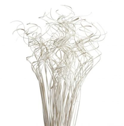 White Glitter Ting Ting 