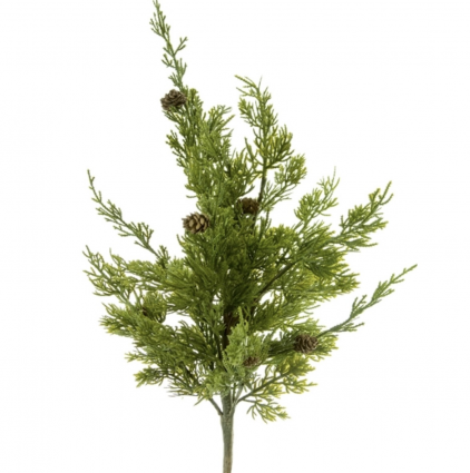 BUSH, 20" CYPRESS W/CONE GREEN