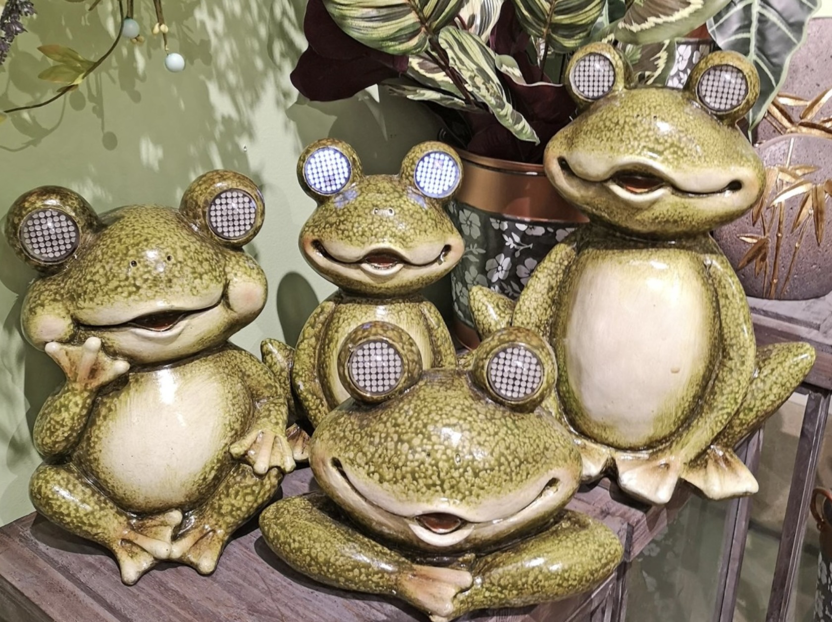 Medium Frog with Solar Eyes