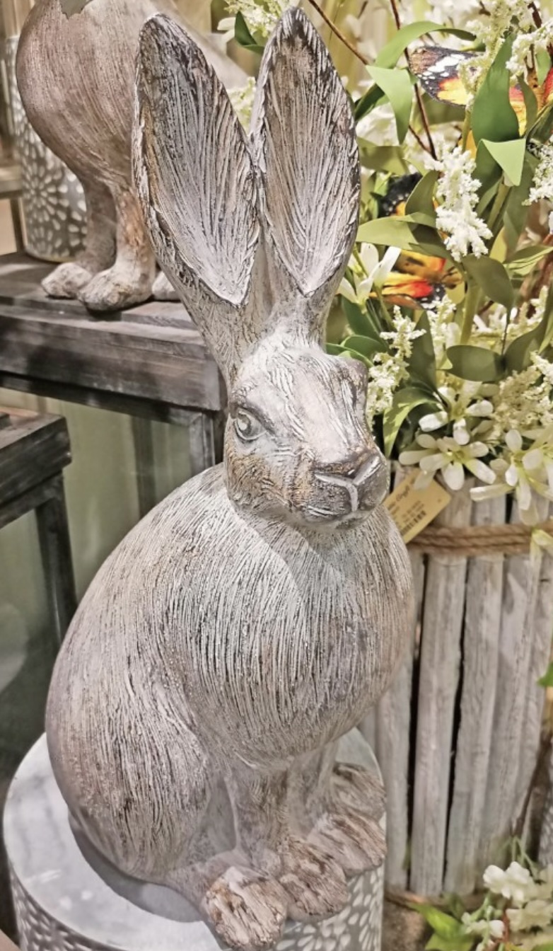 Sitting Grey Bunny