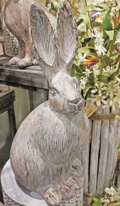 Sitting Grey Bunny