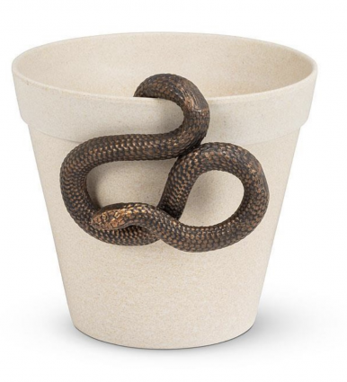 Hanging Snake Planter