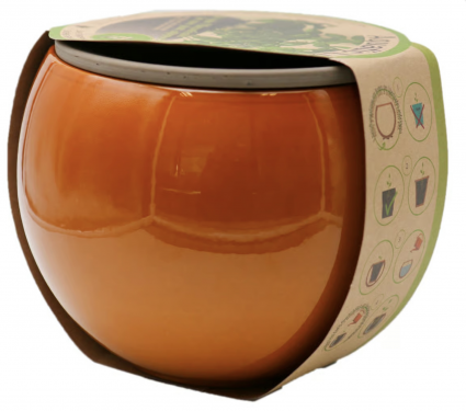 Self-Watering Aquatic Luna 6.75" Forest Honey Pot