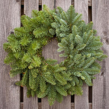 Noble Fir 16" Wreath