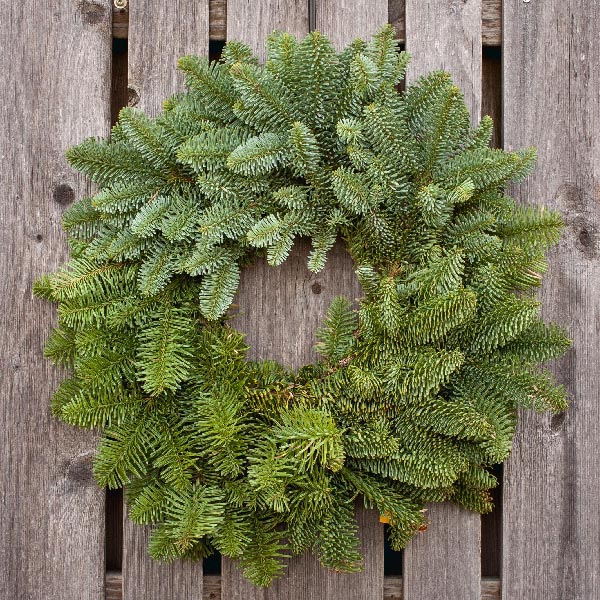 Noble Fir 30" Wreath 