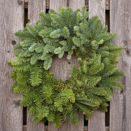 Noble Fir 22" Wreath