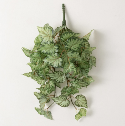 Begonia Leaf Bush 