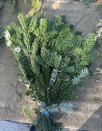 Silver Fir Greenery Tips