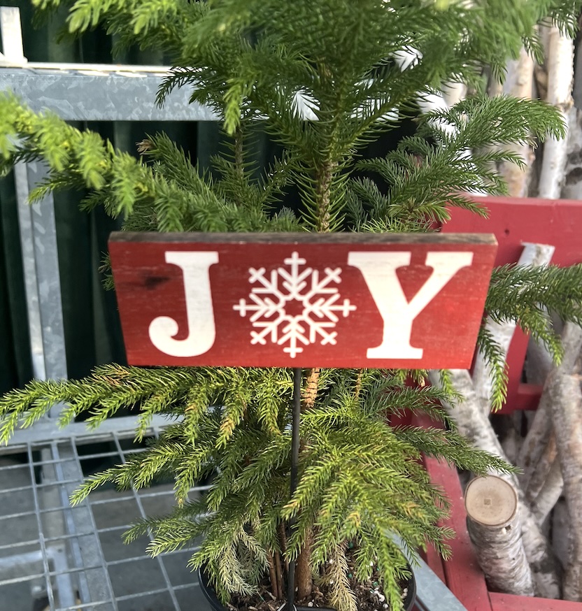 Small Red Joy Sign