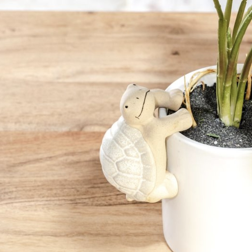 "Inner" Turtle Pot Hanger