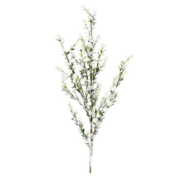 White Snowy Boxwood Berry Spray