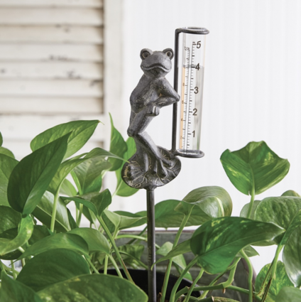 Frog Rain Gauge Garden Pick