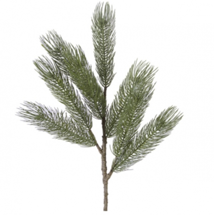 Spruce Green Spray 28"