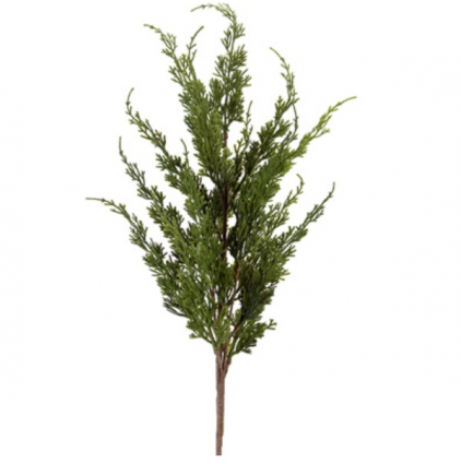 Cedar Green Spray 35"