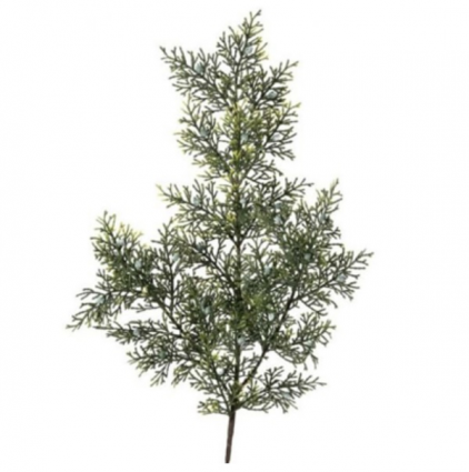 Cypress Cedar Spray 25"
