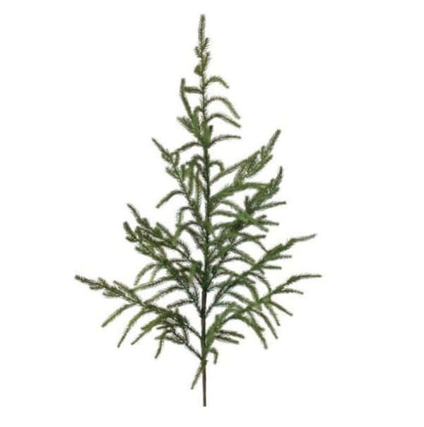 Natural Norfolk Pine Spray 38"
