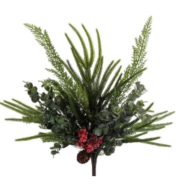 Pine Fern Berry Bush