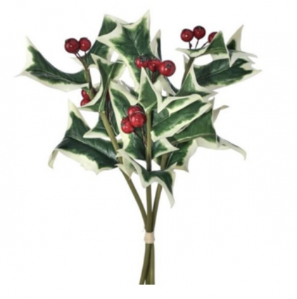 Variegated Holly Sprig Bundle