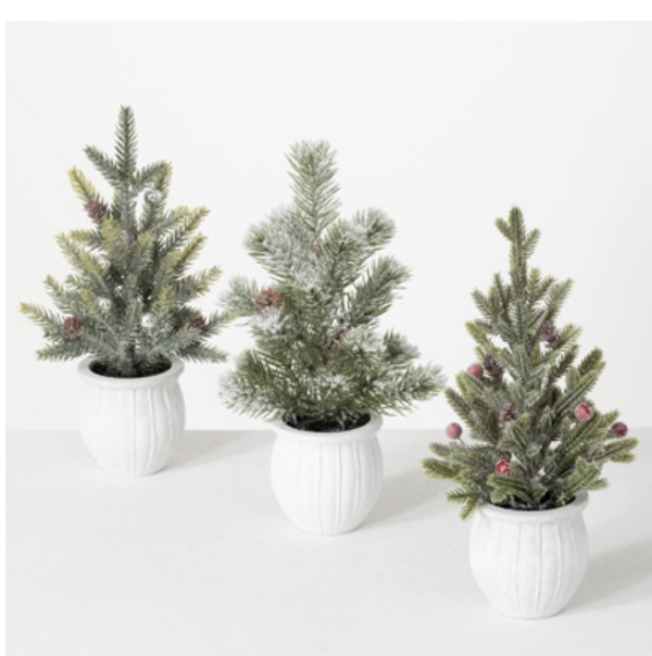 Christmas Trees in White Pot 12"H