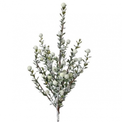 Frost White Berry Spray