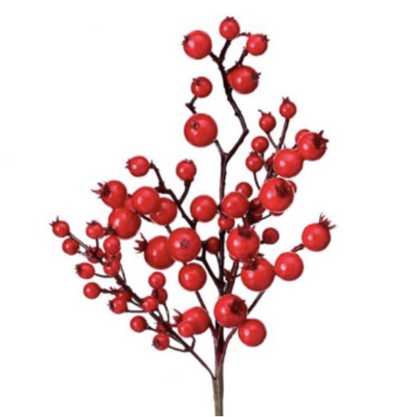 Mixed Size Berry Pick