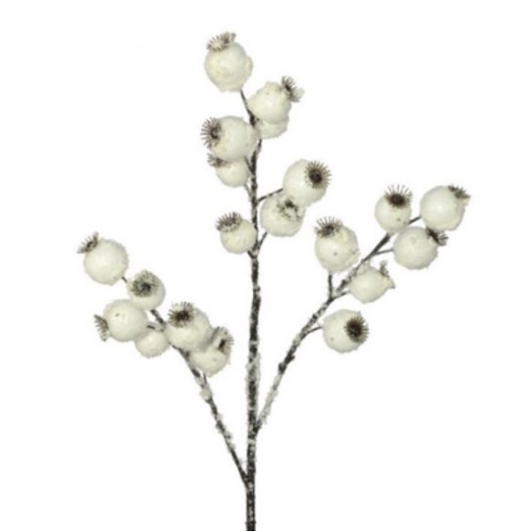 White Crabapple Spray