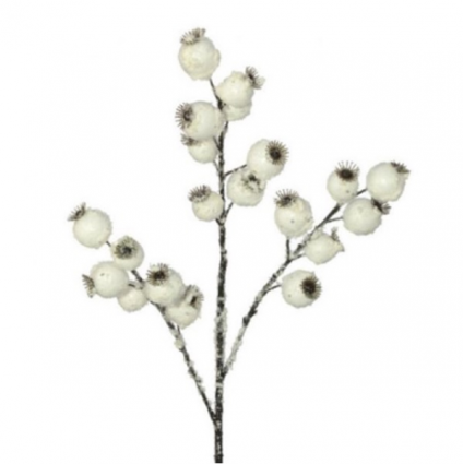 White Crabapple Spray