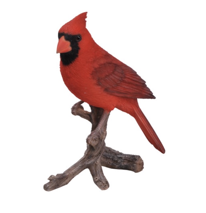 CARDINAL 8"