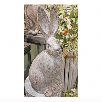 Sitting Grey Bunny