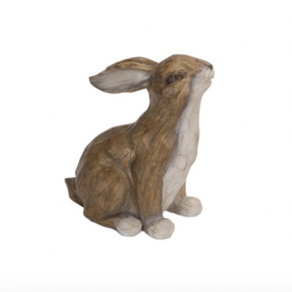 Brown Bunny 