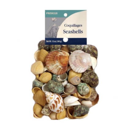 Natural. Sea Shells 12 oz Bag