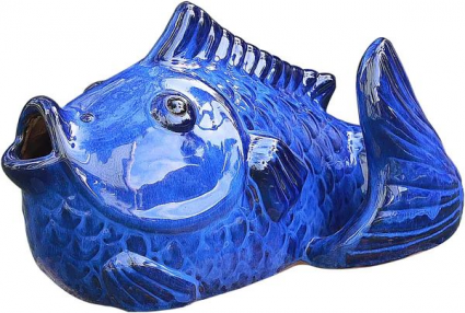 Swimming Carp in Blue