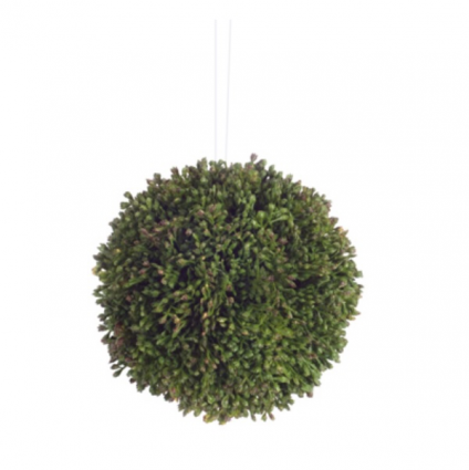 Large Green Sedum Orb