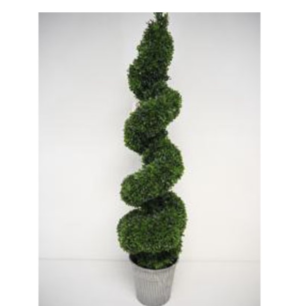 Faux Spiral Boxwood Topiary